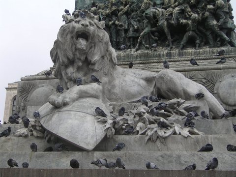 lion and pigeons.JPG